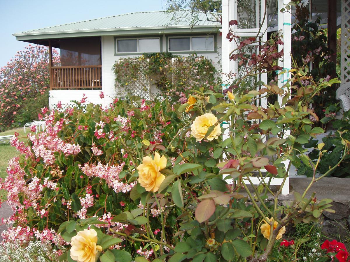 Belle Vue Kona Inc Bed & Breakfast Captain Cook Bagian luar foto